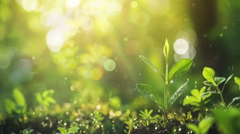 The Positive Environmental Impact of Green Desserts