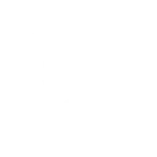 Sales analityc